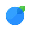 InvoiceBerry Logo