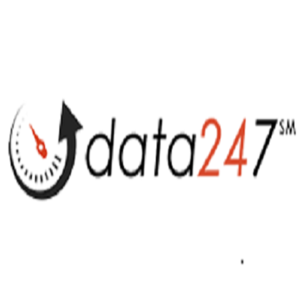 Data24-7 Logo