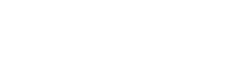 Brave Logo